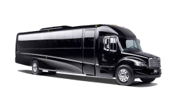 Party buses and shuttle buses